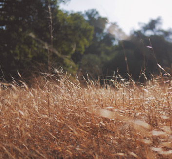 力挺非洲选手，实力雄厚，期待优异表现