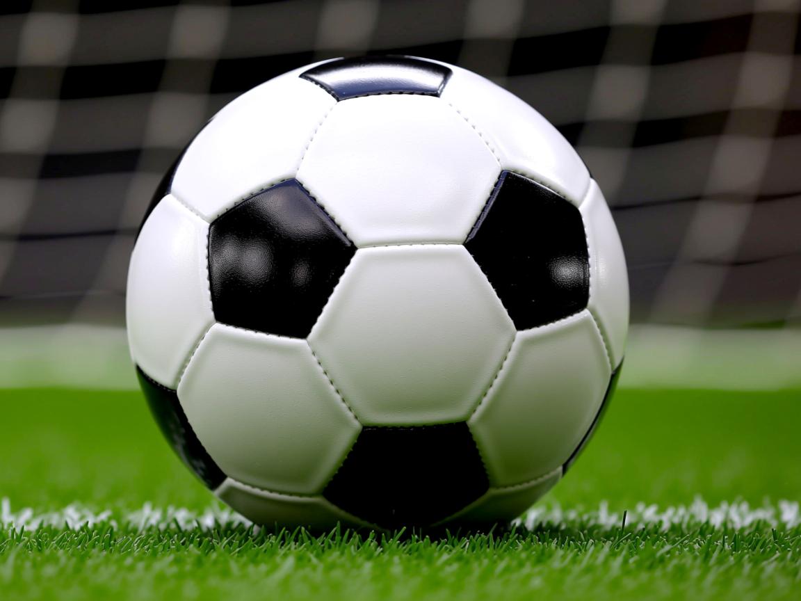 九游娱乐app-“非洲冠军艾尔艾哈利虽败犹荣，赢得尊重”